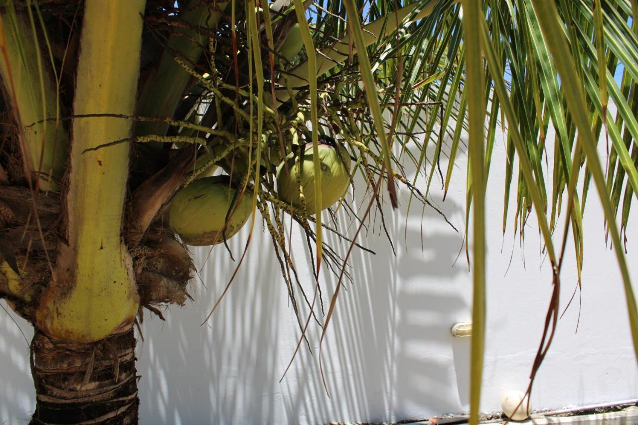 Beachhouse In Barra do Sirinhaém Exterior foto
